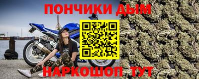 гашик Тулун