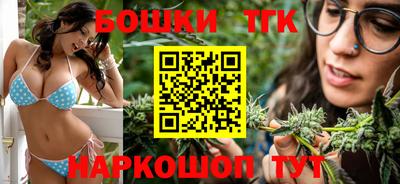гашик Тулун