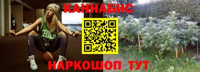 гашик Тулун