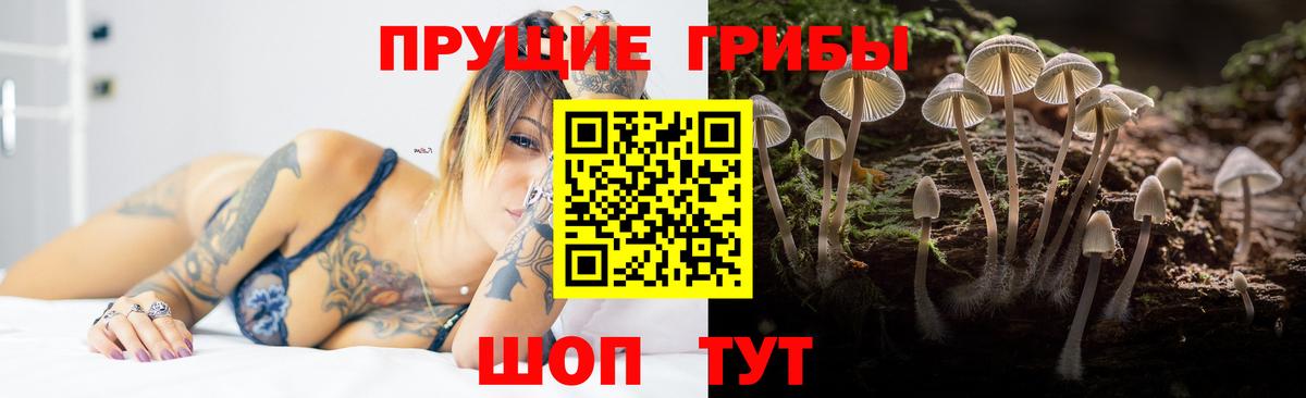 Галлюциногенные грибы MAGIC MUSHROOMS  Вход с VPN  Нефтекамск  Псилоцибиновые грибы Psilocybe 